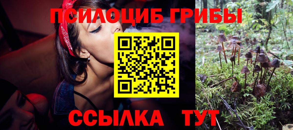 Псилоцибиновые грибы мицелий  Псилоцибиновые грибы Magic Shrooms  Балтийск  Вход с VPN 