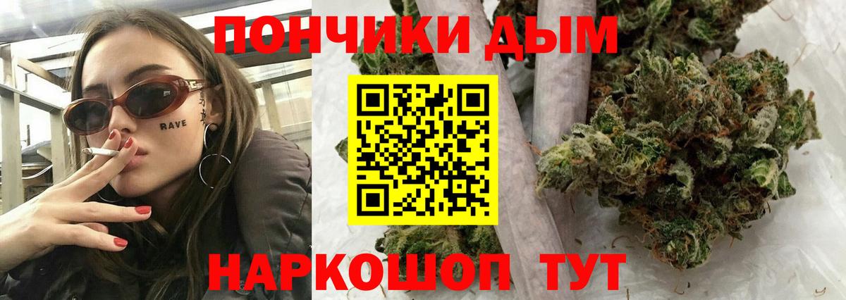 Конопля план Балтийск